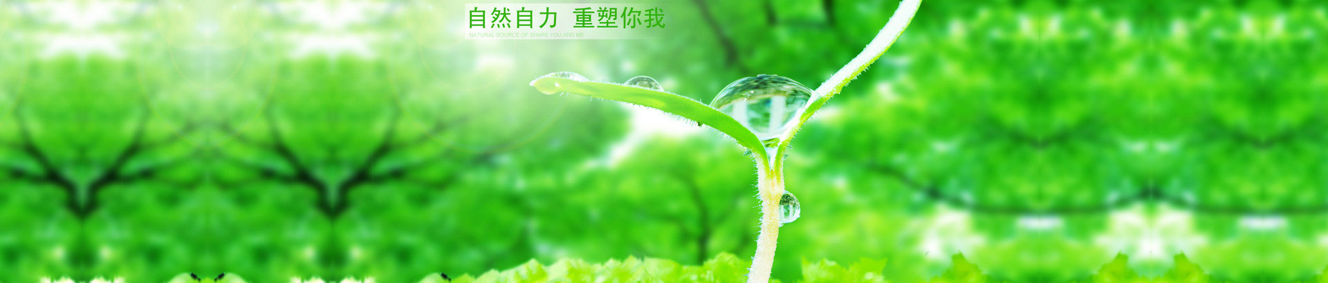 企業(yè)榮譽